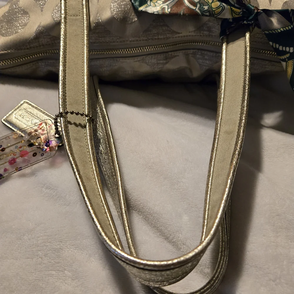 Coach Metallic Silver Poppy Tote